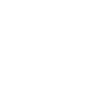 Steel City World Cup logo